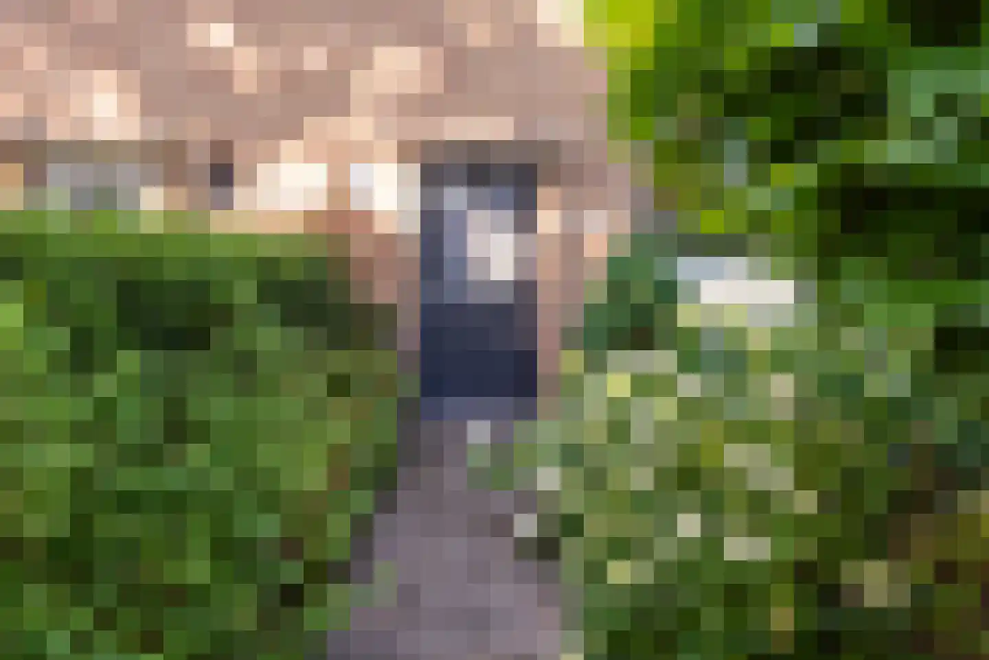 Butterlaan 22 Heiloo thumbnail 43