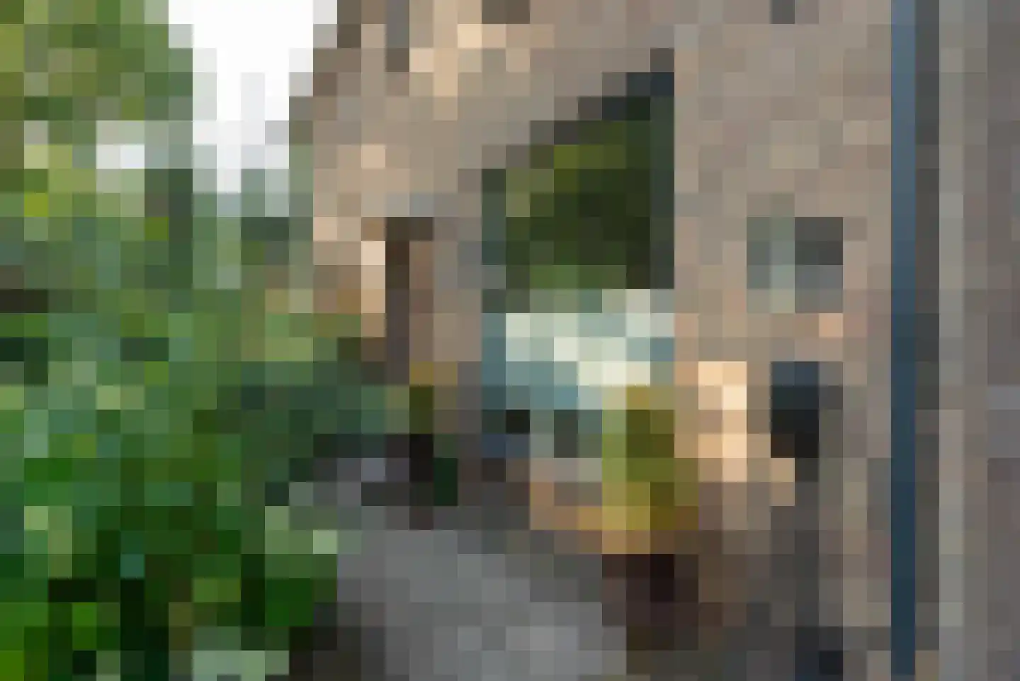 Butterlaan 22 Heiloo thumbnail 45