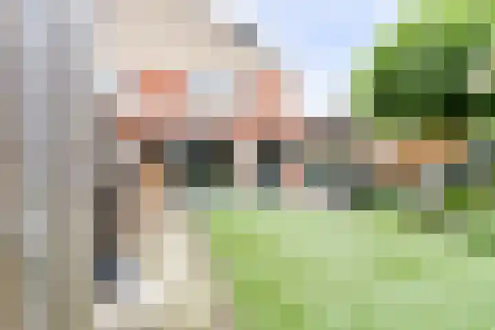 Buttersgroet 8 Zuid-Scharwoude thumbnail 35
