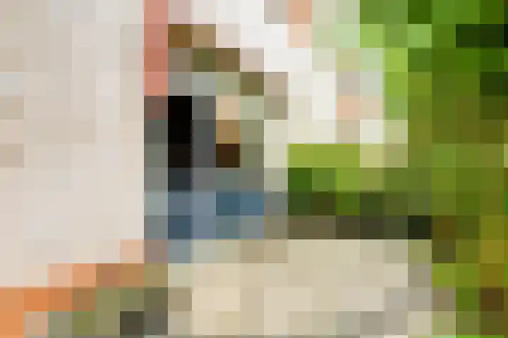 Buttersgroet 8 Zuid-Scharwoude thumbnail 4