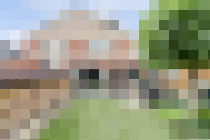 Buttersgroet 8 Zuid-Scharwoude thumbnail 41
