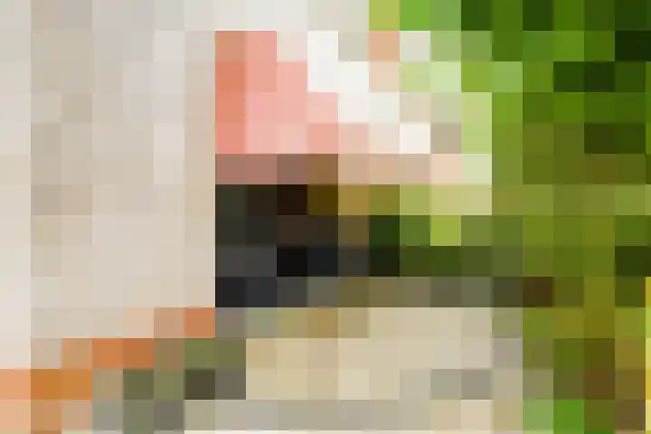 Buttersgroet 8 Zuid-Scharwoude thumbnail 42