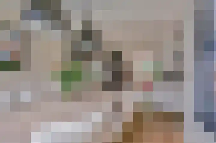 Buttersgroet 8 Zuid-Scharwoude thumbnail 7