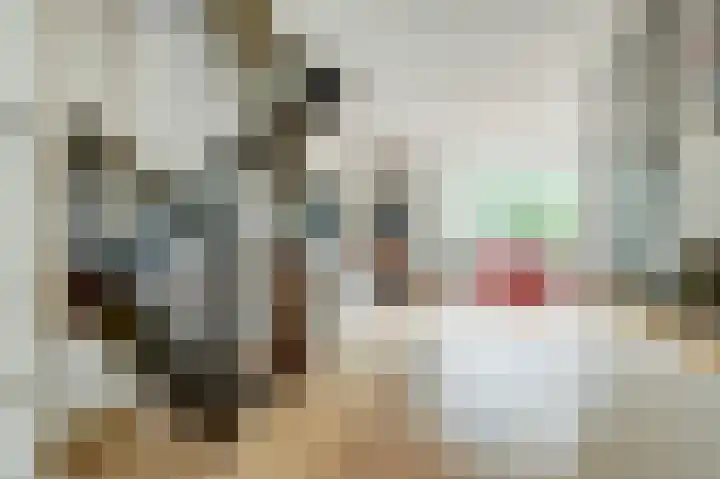 Buttersgroet 8 Zuid-Scharwoude thumbnail 8