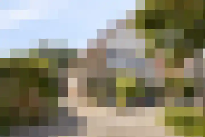 Butterweid 24 Nieuwe Niedorp