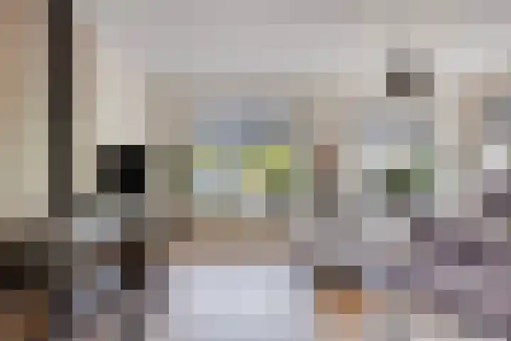 Butterweid 24 Nieuwe Niedorp thumbnail 13