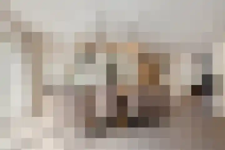 Butterweid 24 Nieuwe Niedorp thumbnail 14