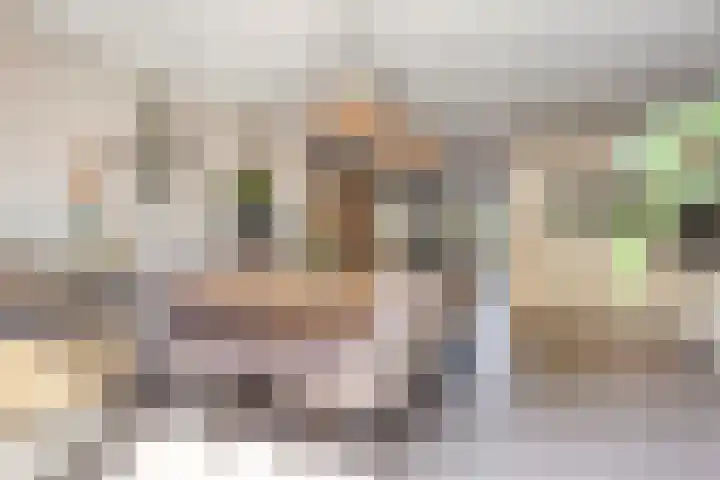 Butterweid 24 Nieuwe Niedorp thumbnail 15
