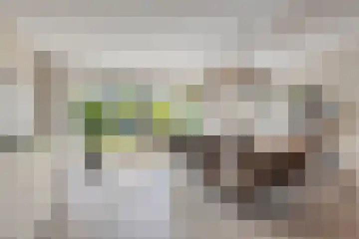 Butterweid 24 Nieuwe Niedorp thumbnail 16