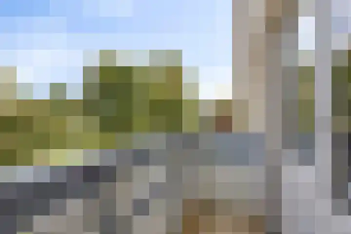 Butterweid 24 Nieuwe Niedorp thumbnail 26