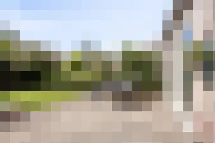 Butterweid 24 Nieuwe Niedorp thumbnail 37
