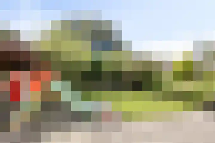 Butterweid 24 Nieuwe Niedorp thumbnail 38