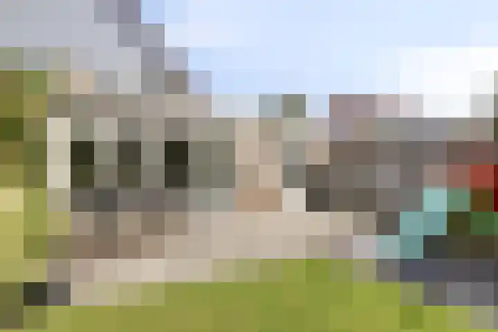Butterweid 24 Nieuwe Niedorp thumbnail 39