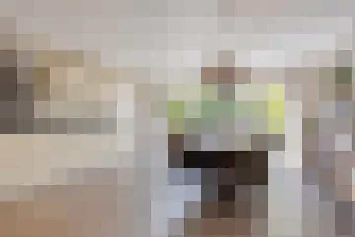 Butterweid 24 Nieuwe Niedorp thumbnail 4