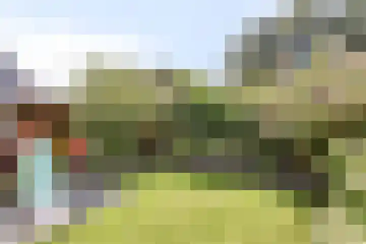 Butterweid 24 Nieuwe Niedorp thumbnail 40