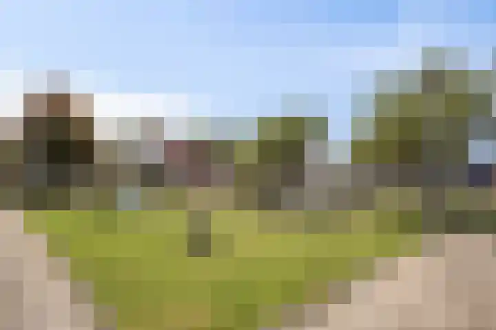 Butterweid 24 Nieuwe Niedorp thumbnail 41