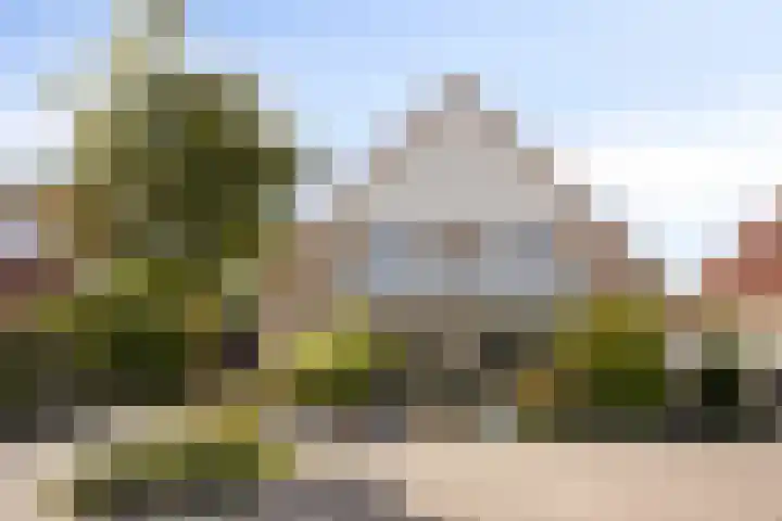 Butterweid 24 Nieuwe Niedorp thumbnail 5