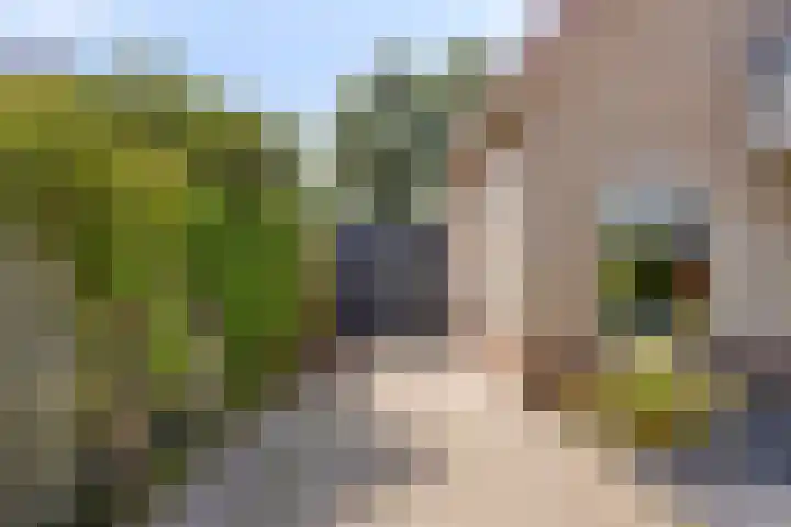 Butterweid 24 Nieuwe Niedorp thumbnail 7