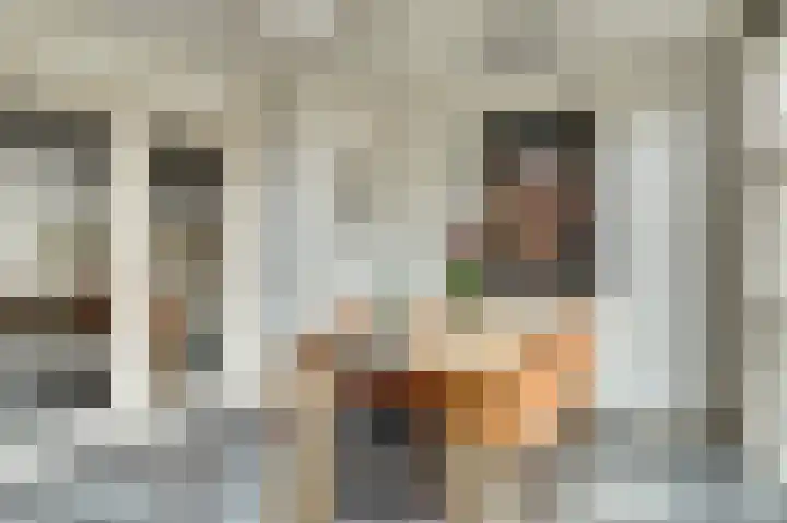 Butterwoud 103 Zwaag thumbnail 13