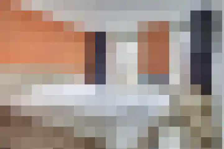 Butterwoud 103 Zwaag thumbnail 17