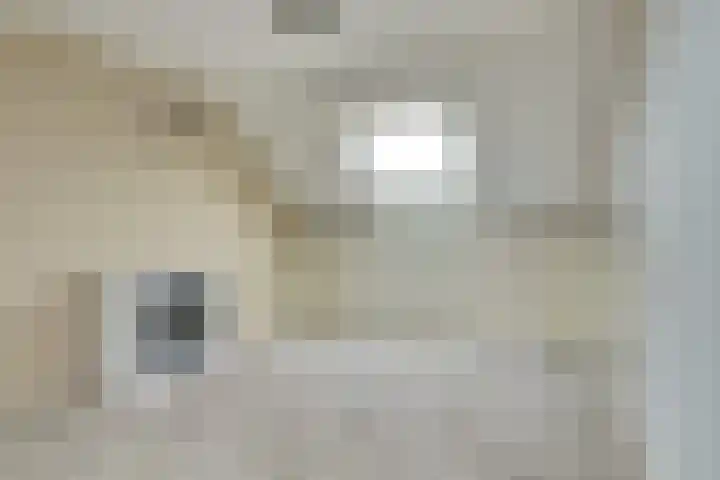 Butterwoud 103 Zwaag thumbnail 29
