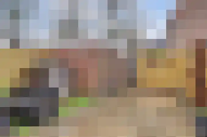 Butterwoud 103 Zwaag thumbnail 33