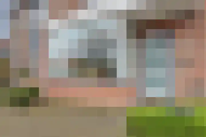 Butterwoud 103 Zwaag thumbnail 5