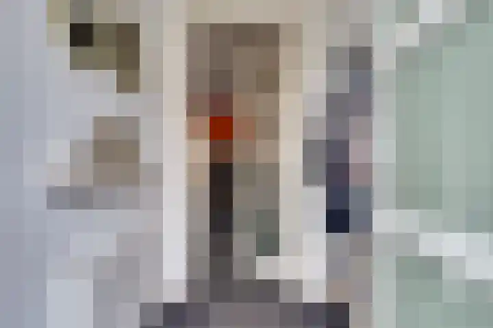 Butterwoud 103 Zwaag thumbnail 6