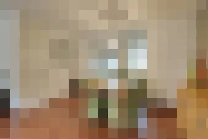 Butterwoud 105 Zwaag thumbnail 12