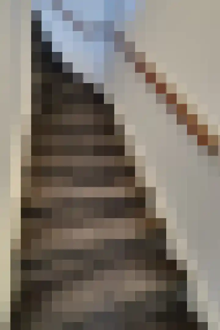 Butterwoud 105 Zwaag thumbnail 16