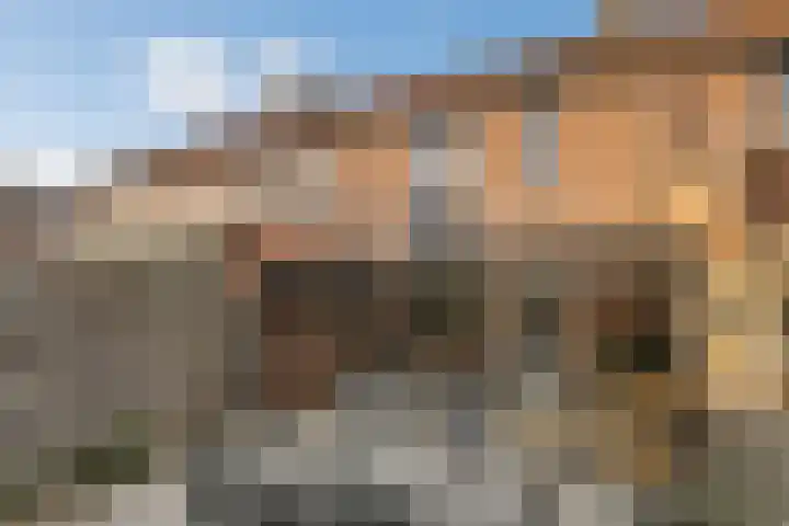 Butterwoud 105 Zwaag thumbnail 18