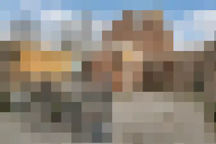 Butterwoud 105 Zwaag thumbnail 22
