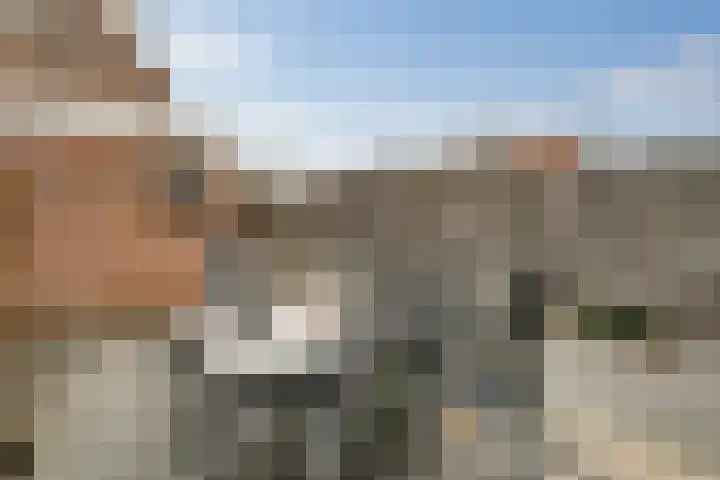 Butterwoud 105 Zwaag thumbnail 23