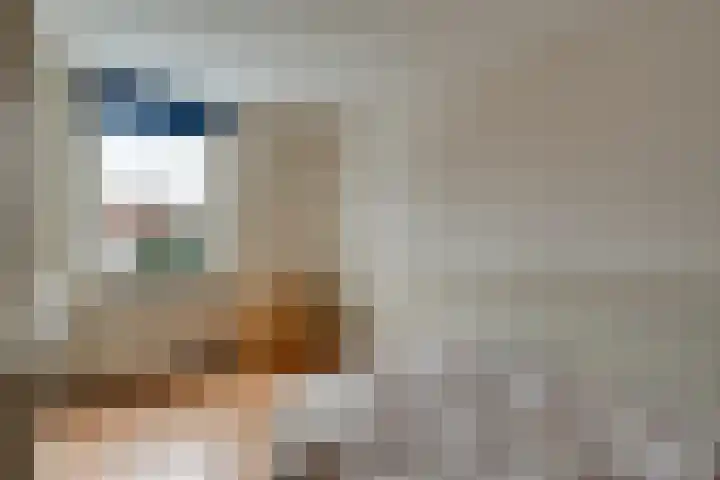 Butterwoud 105 Zwaag thumbnail 29