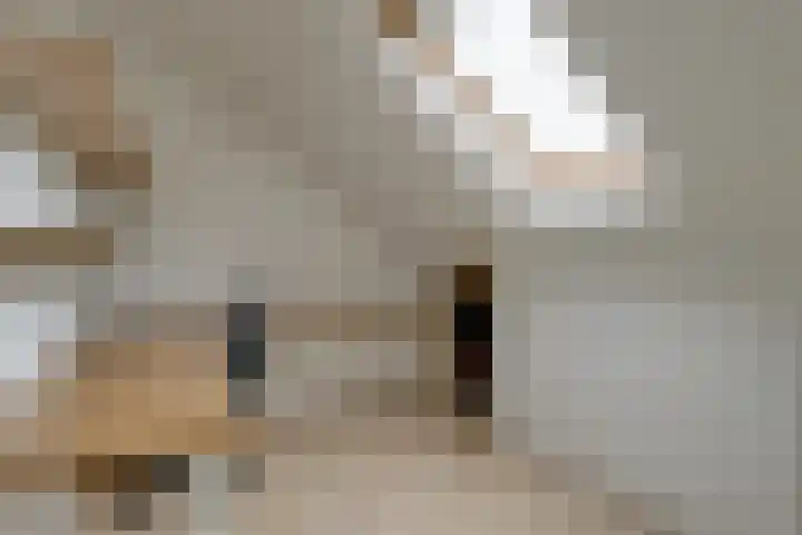 Butterwoud 105 Zwaag thumbnail 40