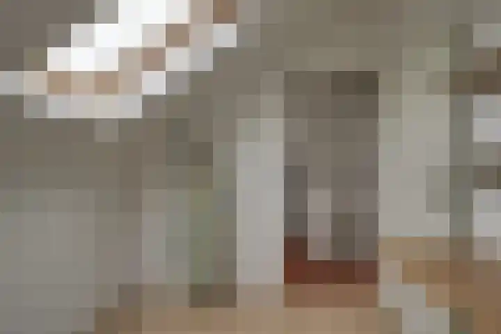 Butterwoud 105 Zwaag thumbnail 42