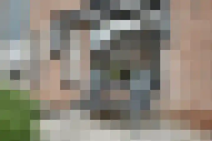 Butterwoud 105 Zwaag thumbnail 48