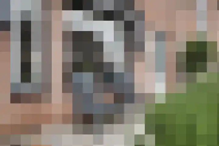 Butterwoud 105 Zwaag thumbnail 49