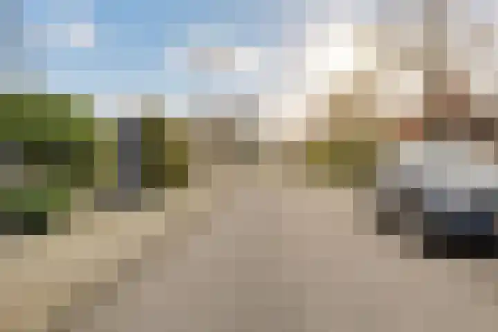 Butterwoud 105 Zwaag thumbnail 51