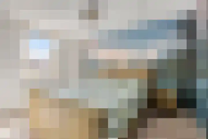Butterwoud 22 Zwaag thumbnail 11