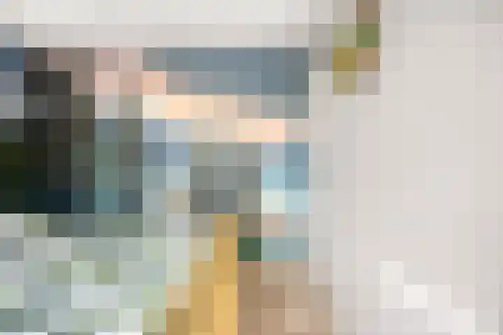 Butterwoud 22 Zwaag thumbnail 12