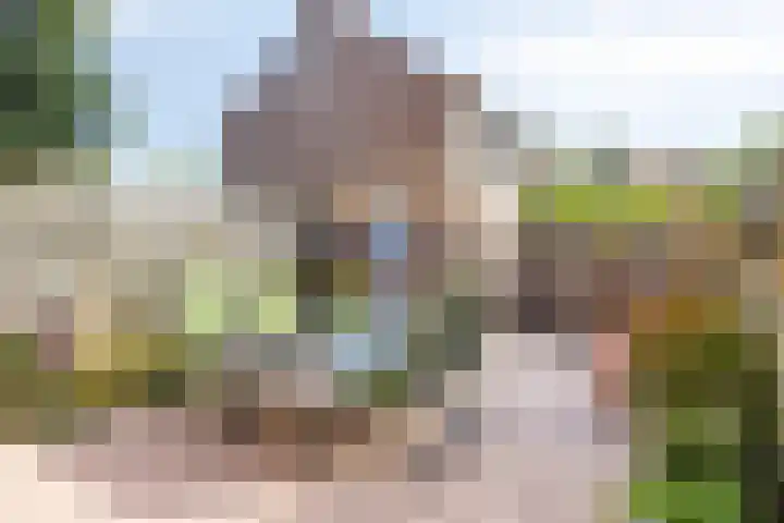 Butterwoud 22 Zwaag thumbnail 21