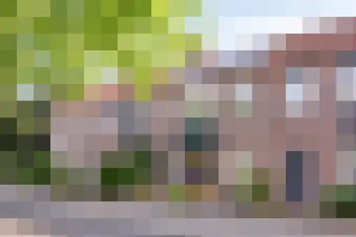Butterwoud 22 Zwaag thumbnail 23