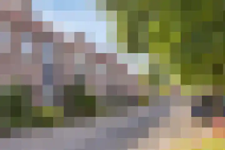 Butterwoud 22 Zwaag thumbnail 24