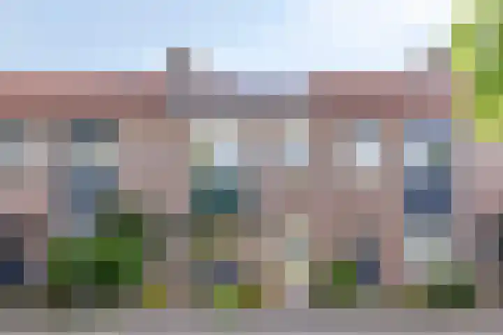 Butterwoud 22 Zwaag thumbnail 30