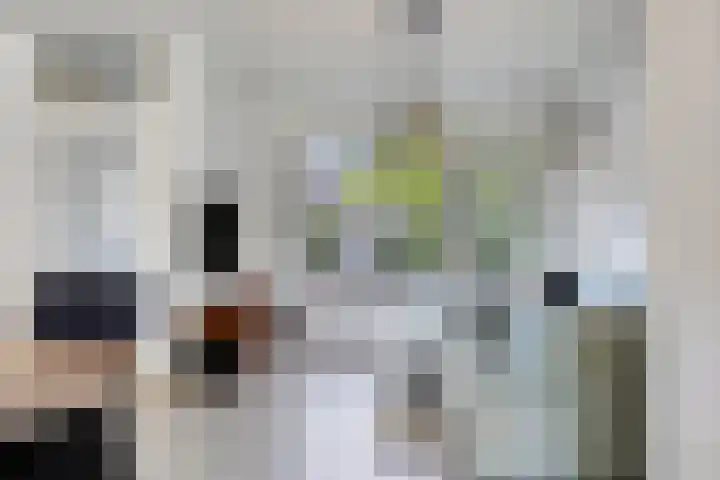 Butterwoud 22 Zwaag thumbnail 5