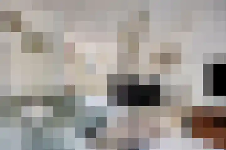 Butterwoud 22 Zwaag thumbnail 6