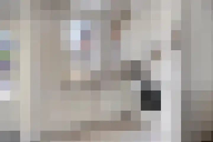 Butterwoud 22 Zwaag thumbnail 8
