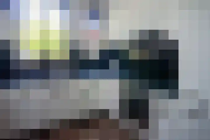 Butterwoud 97 Zwaag thumbnail 12