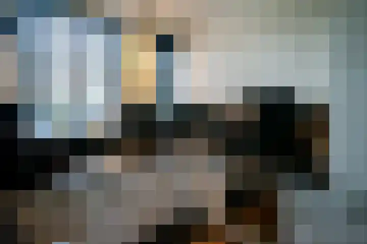 Butterwoud 97 Zwaag thumbnail 13